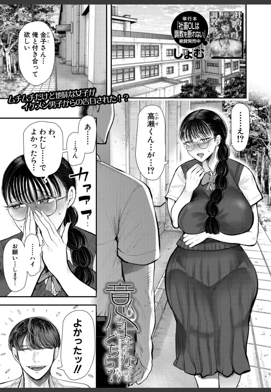 地味な同級生だと思ってた金子が実は肉食系で、賭けで付き合ったら毎晩搾り取られる俺