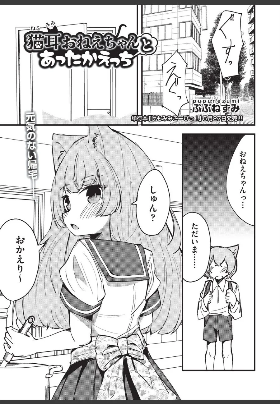 いじめられた弟を励ます姉の猫耳おねえちゃんが、毎晩こっそり部屋に来る件