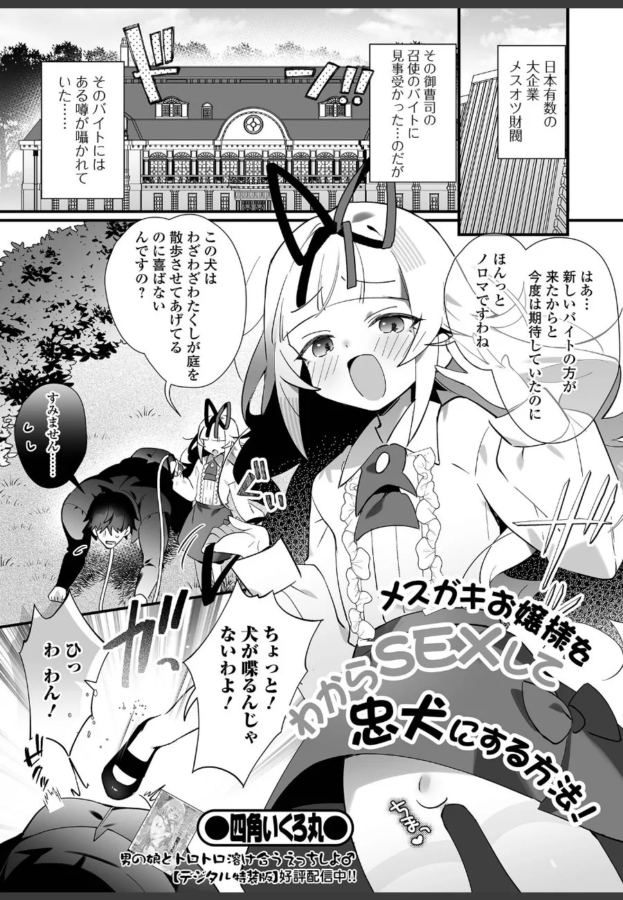 高飛車なお嬢様男の娘を、バイト君がわからせSEXで忠犬に調教する話