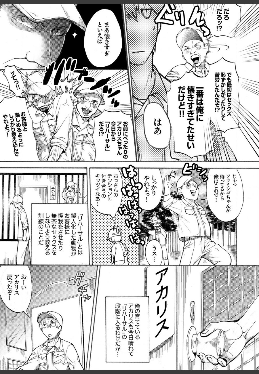 sample