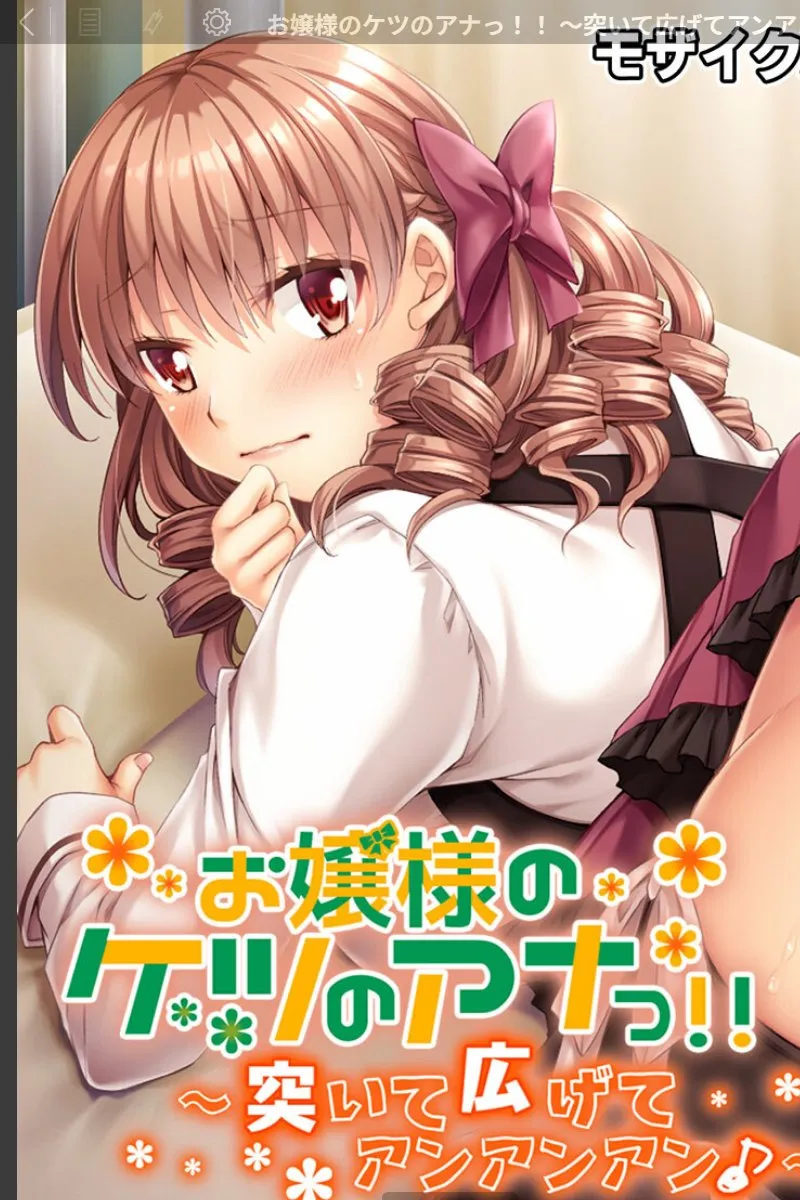 お嬢様の淫らな穴を毎晩突いて広げてしまう俺の罪深い日常