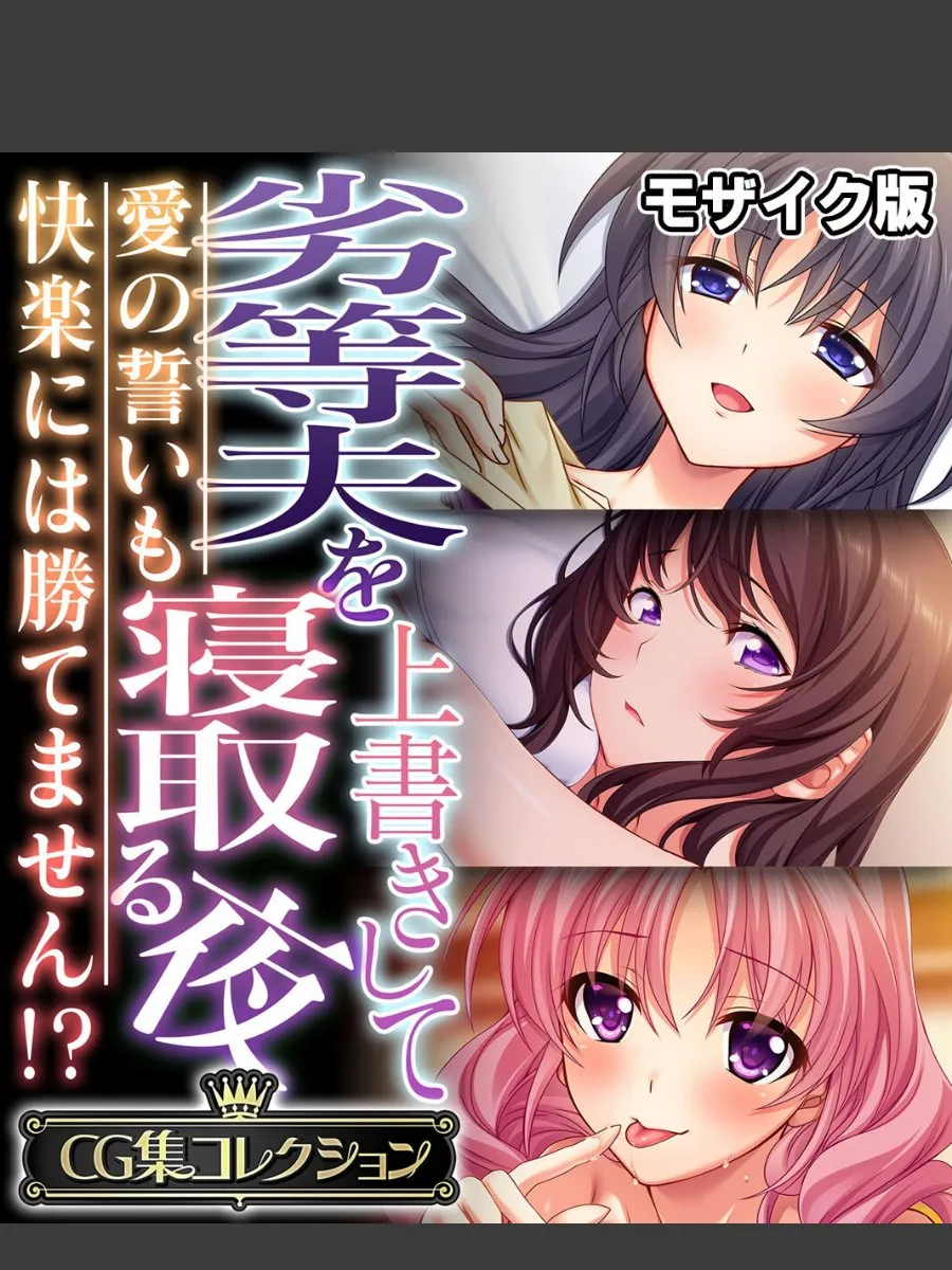 劣等夫を上書きする俺たちが、その妻を毎晩快楽で寝取る件