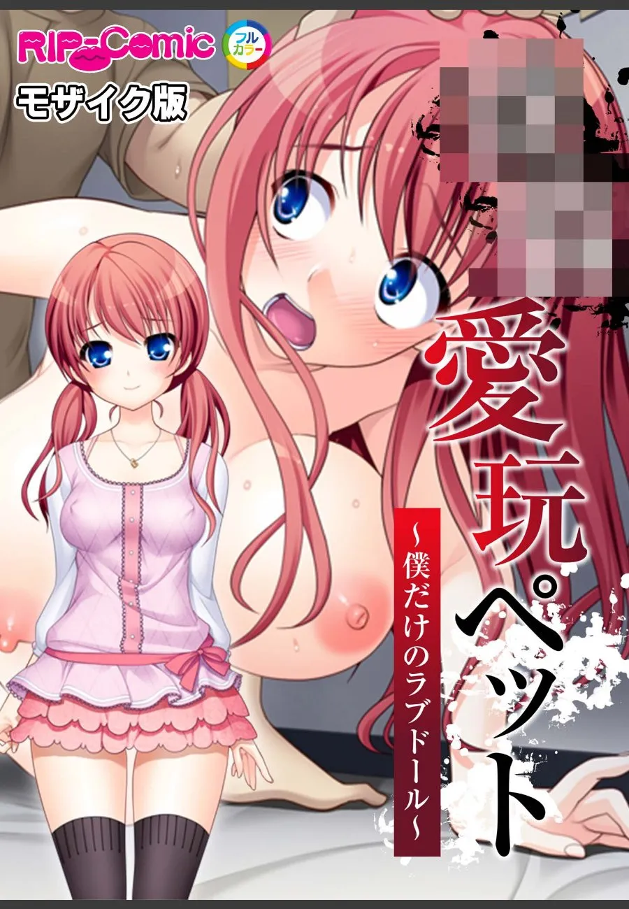愛玩ペット化した俺だけのラブドールが毎晩求めてくる甘い夜