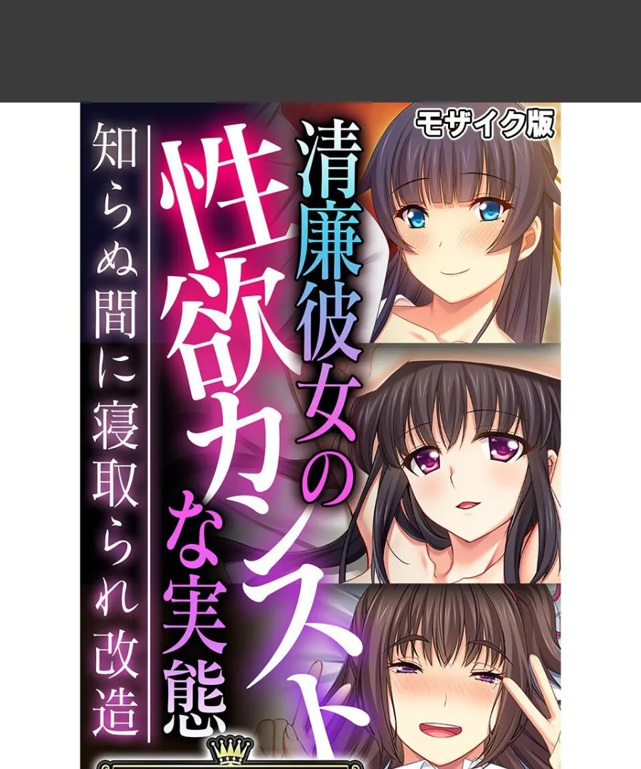 清廉な彼女が知らぬ間に性奴隷に改造されてしまった俺の受難