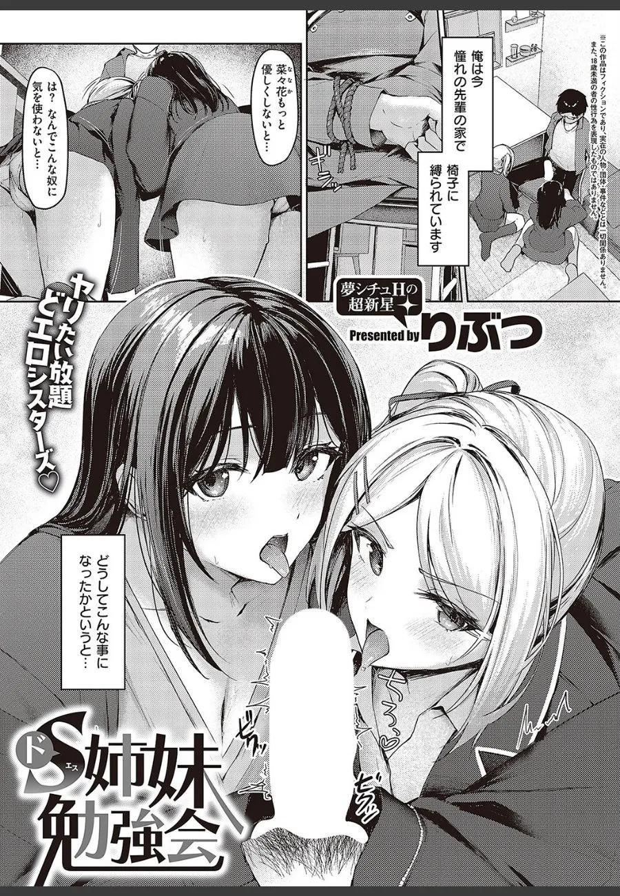 清楚JD姉妹に「男の扱い方」を教え込まれた俺が、拘束されたまま毎晩搾り取られる件
